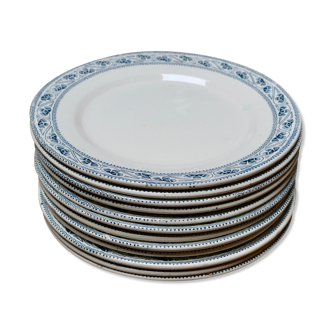 Lot de 12 assiettes