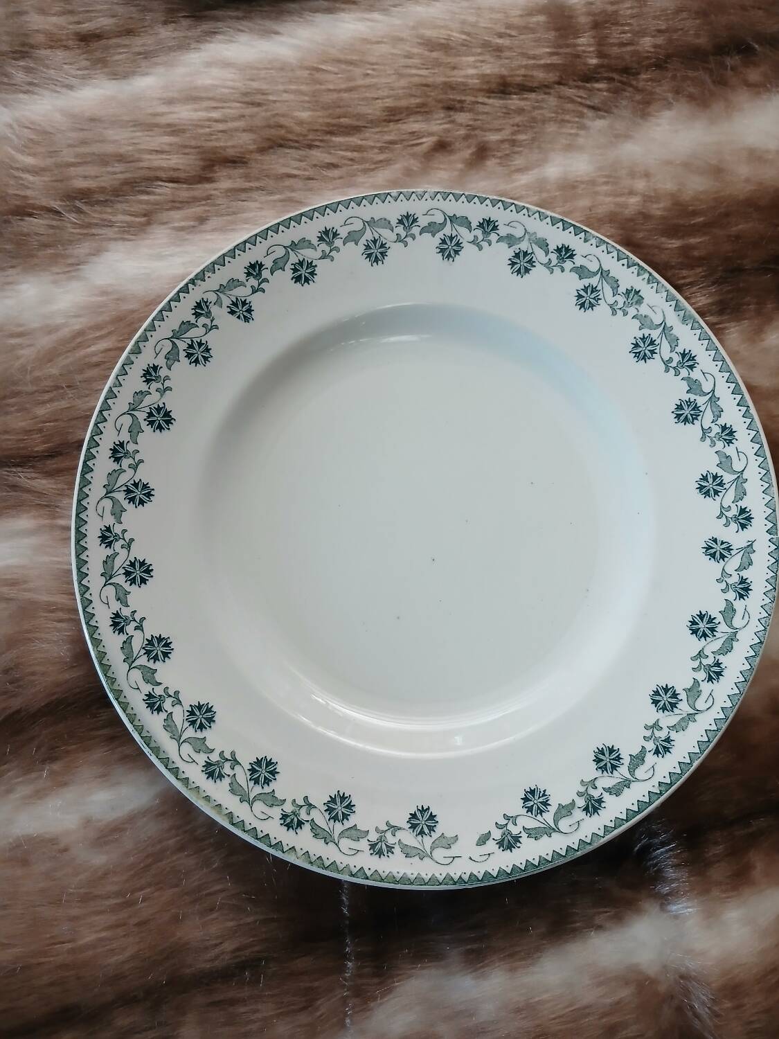 12 antique flat plates in ironstone