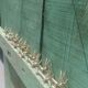 Solid brass knife holder gazelle antelope
