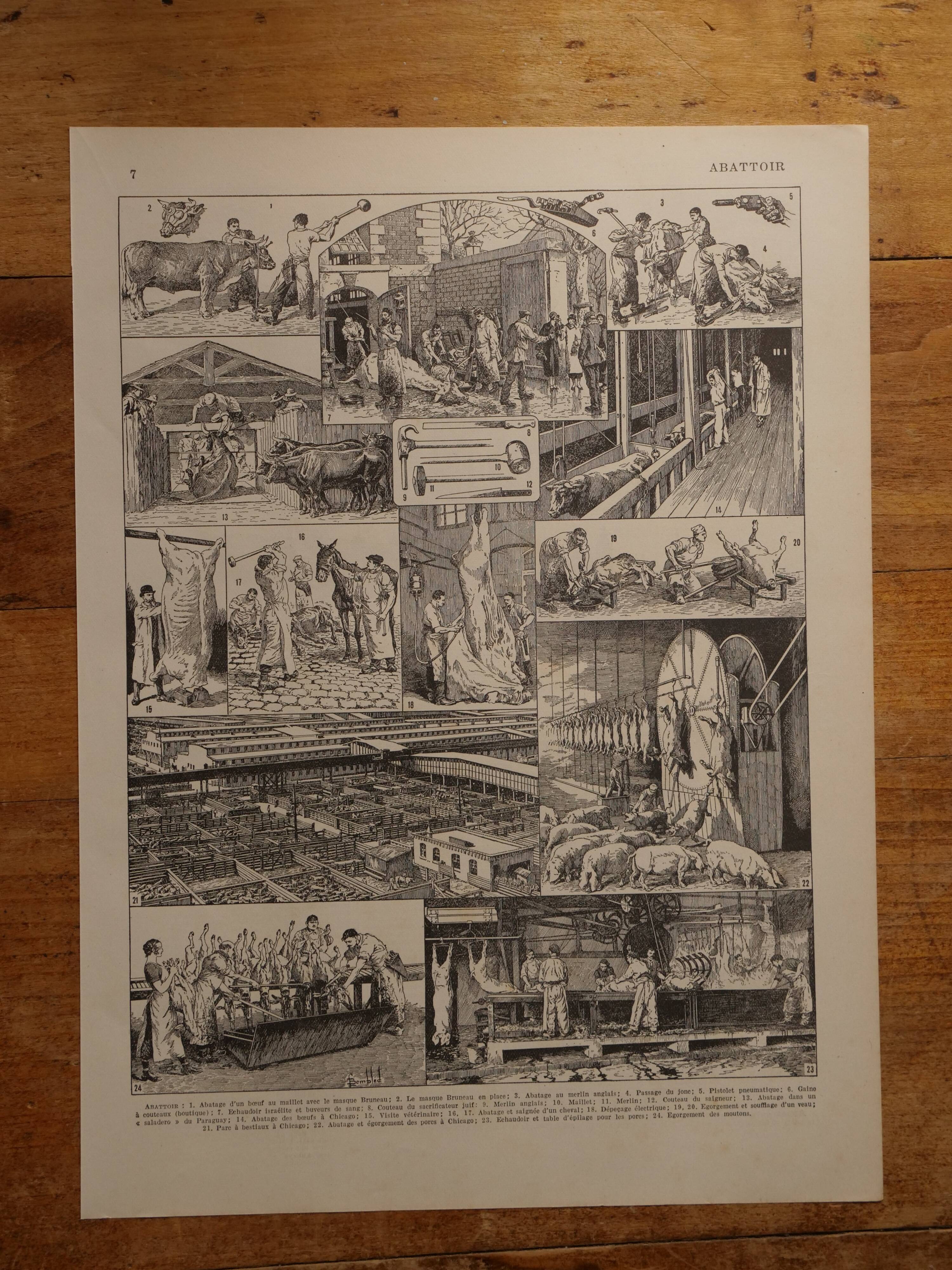 Set of 12 original lithographs