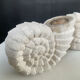 Vintage stone shell candlestick pair