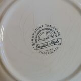 6 flat blue plates in iron earth CP