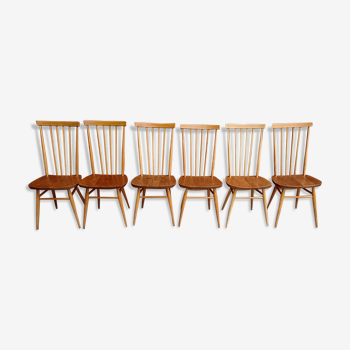 6 chaises Ercol vintage