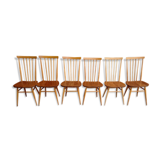 6 chaises Ercol vintage