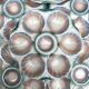 Barbotine oyster plates Digoin