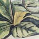 Gravure ancienne oiseau -Coq des Bois- illustration vintage zoologique de Seligmann & Catesby