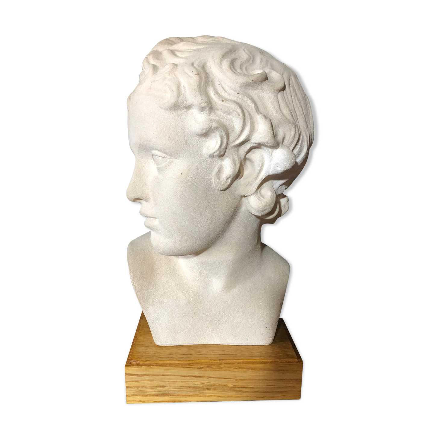 D'arly r. terracotta bust