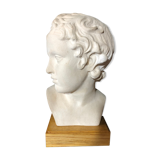 D'arly r. terracotta bust