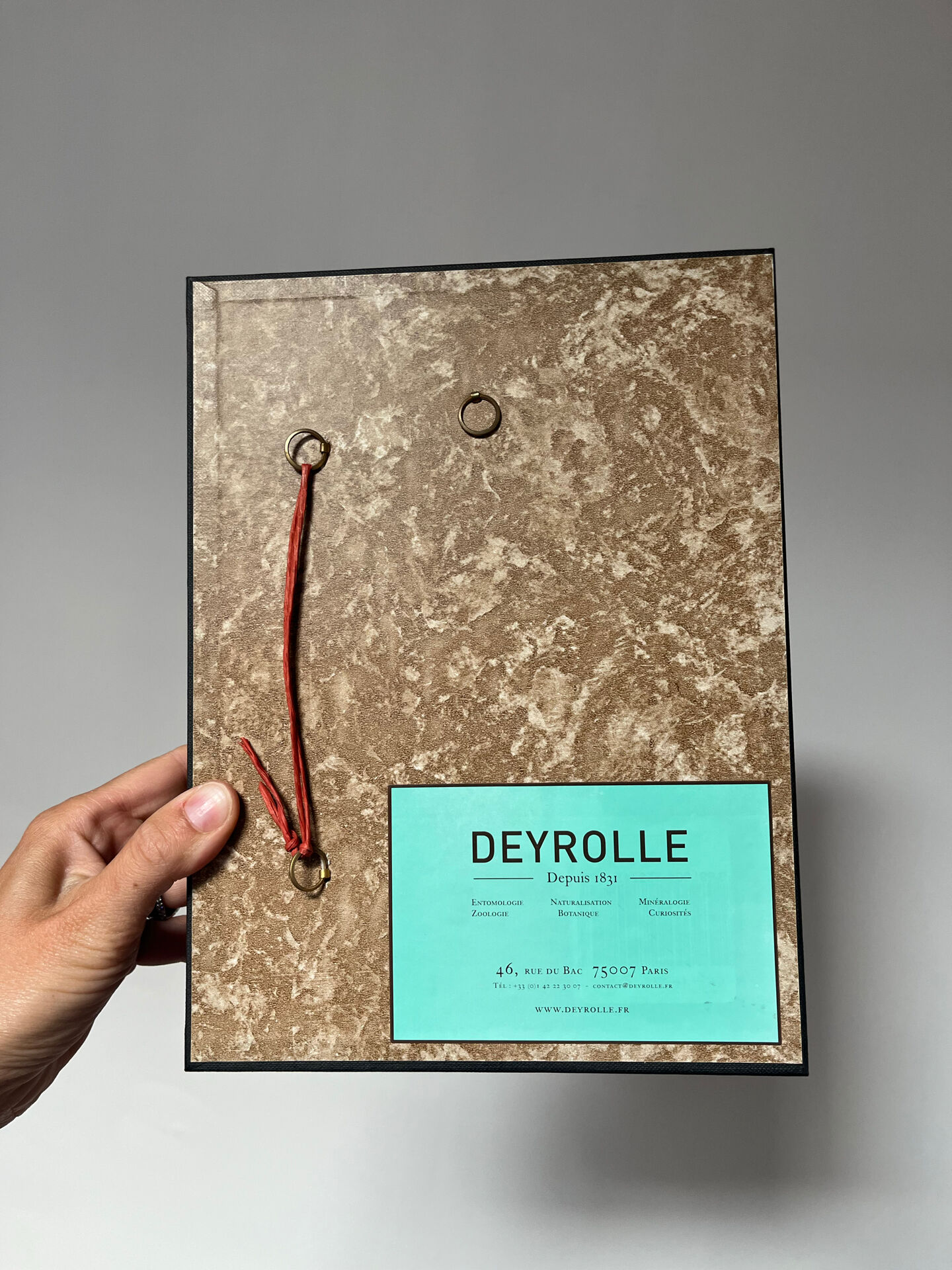 Cadre entomologie Deyrolle