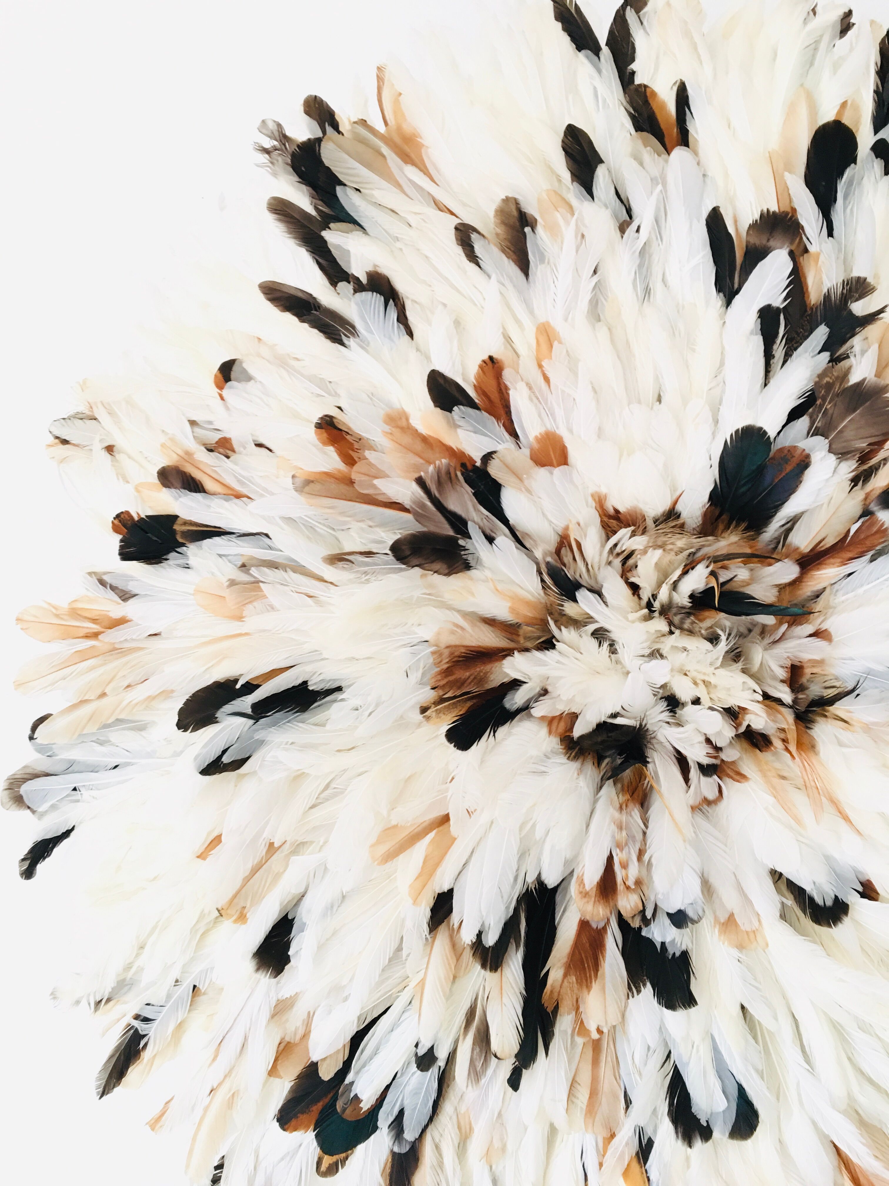 Speckled white jujuhat 75 cm