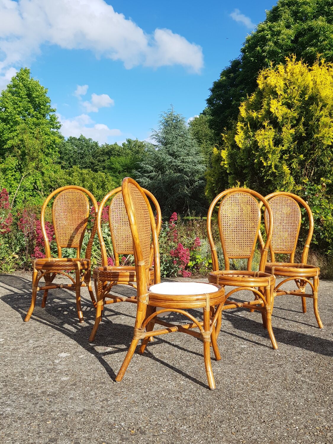Lot 5 rattan chairs and canning 70s