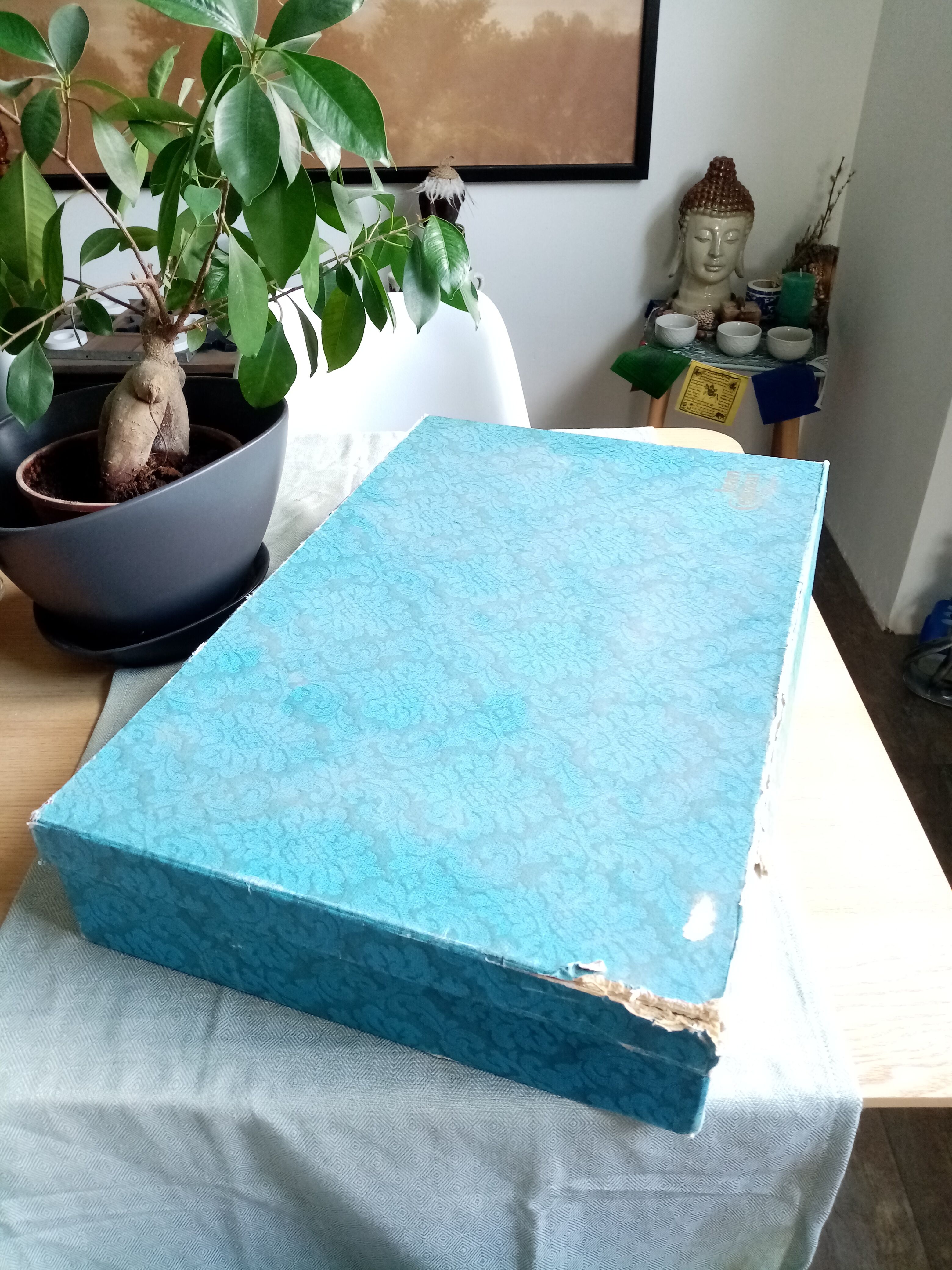 Jean Couzon ice cream trays and cups