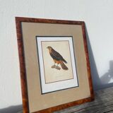 Wooden bird frame