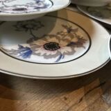 Set of 12 antique porcelain plates with anemone pattern + matching large plate 29.5 cm