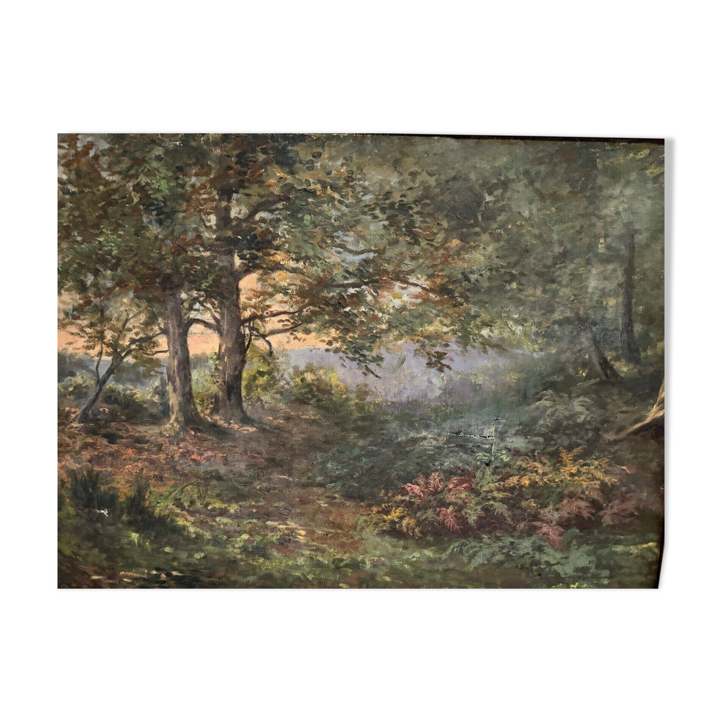 Oil on canvas undergrowth landscape by Charrrier early 20th century