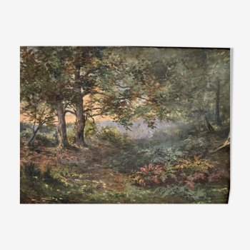 Huile sur toile paysage de sous-bois par Charrrier début XXe