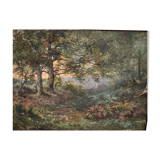 Oil on canvas undergrowth landscape by Charrrier early 20th century