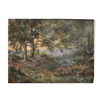 Huile sur toile paysage de sous-bois par Charrrier début XXe