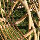 Pair of rattan basket armchairs, 60s