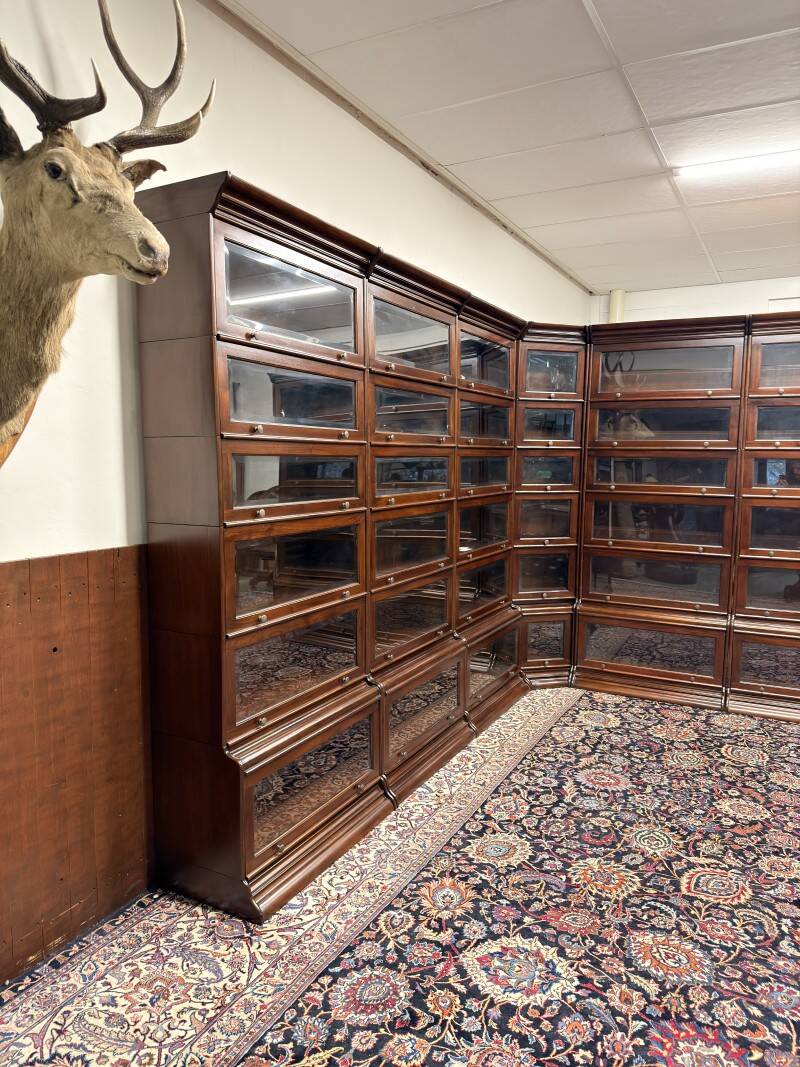 Classic English Globe Wernicke Corner Bookcase