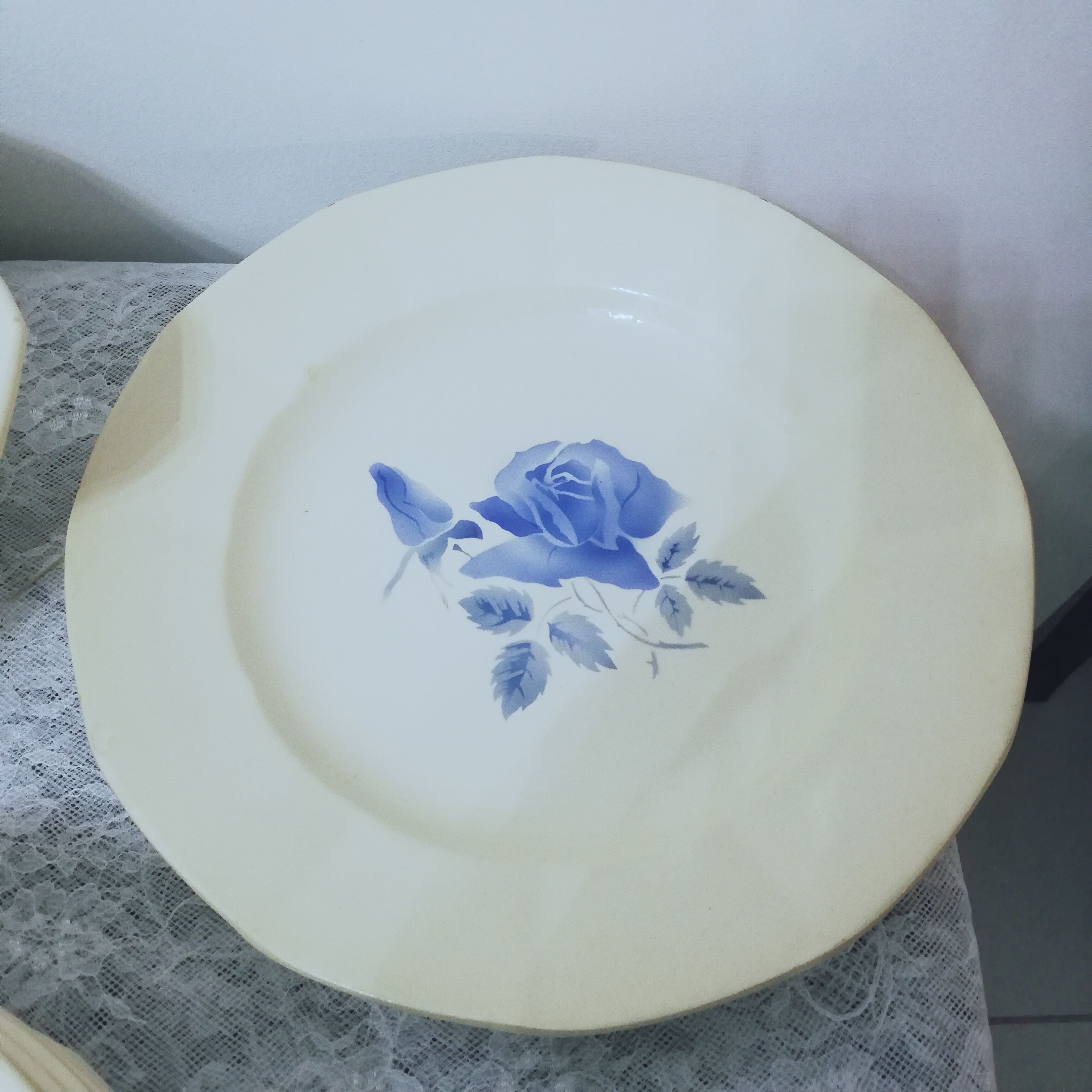 Service 24 pieces in iron earth Digoin Sarreguemines