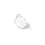 Pepper - original drawing