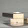 Lampe 1036 par Pierre Disderot, circa 1969