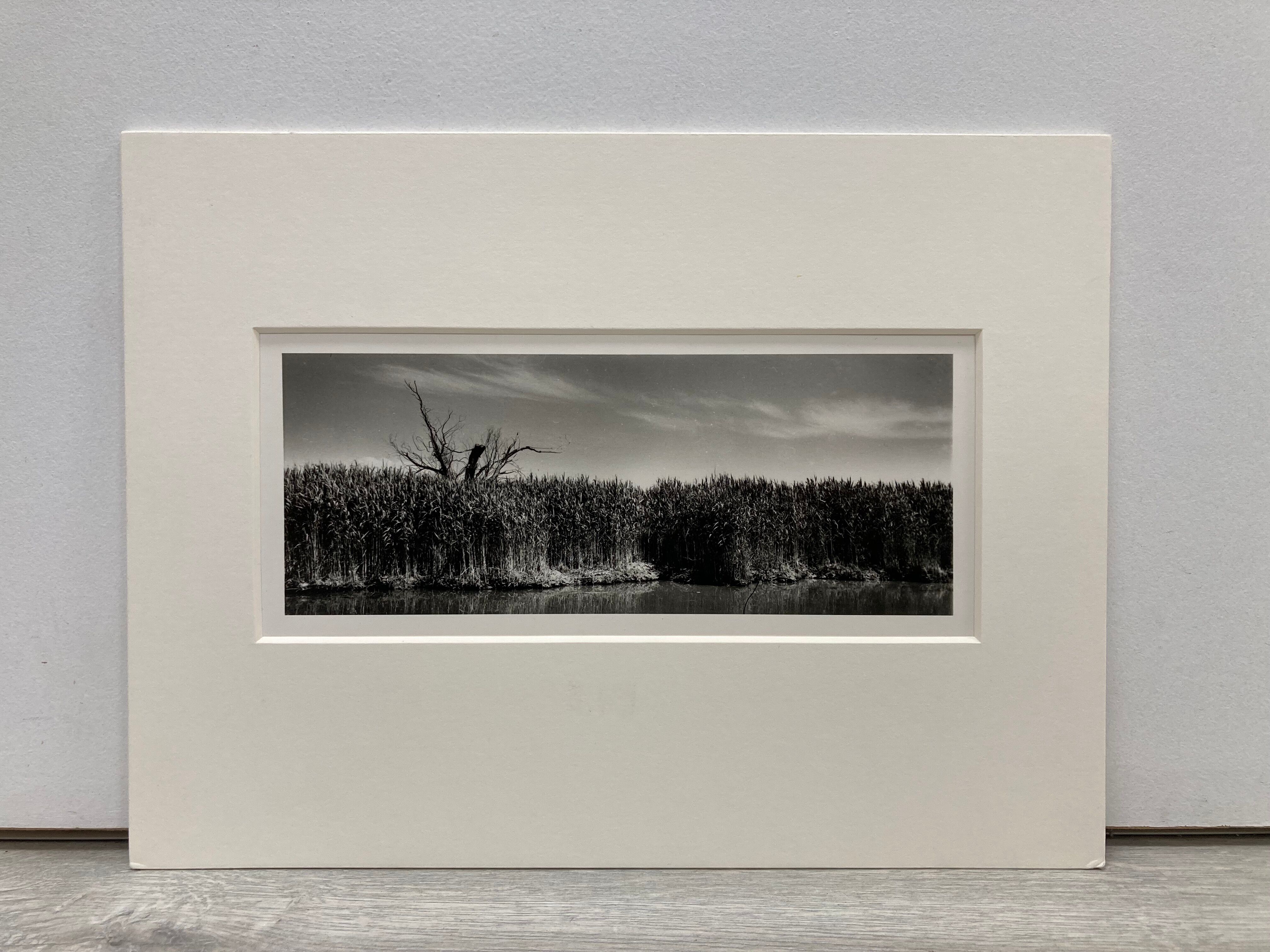 Film landscape photography
