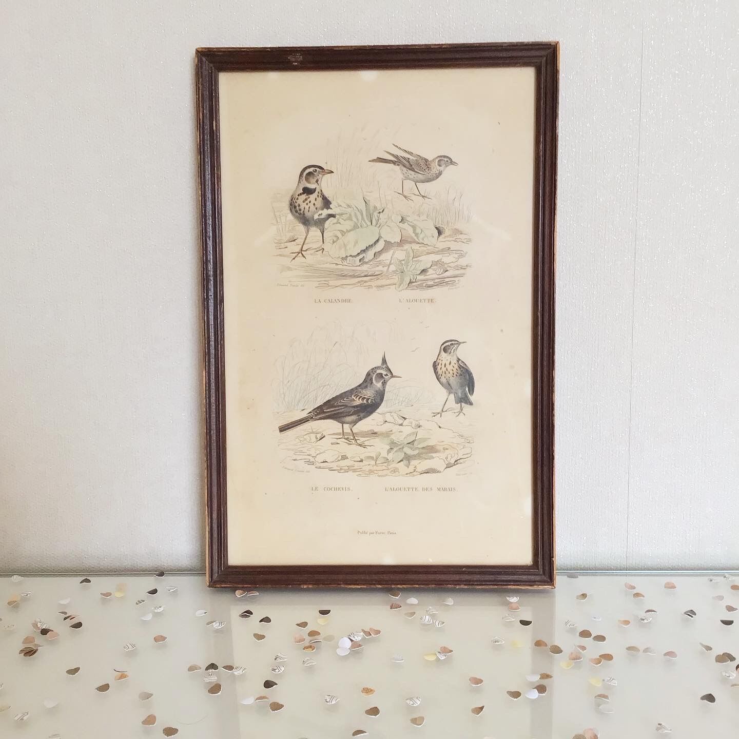 Vintage bird lithograph frame