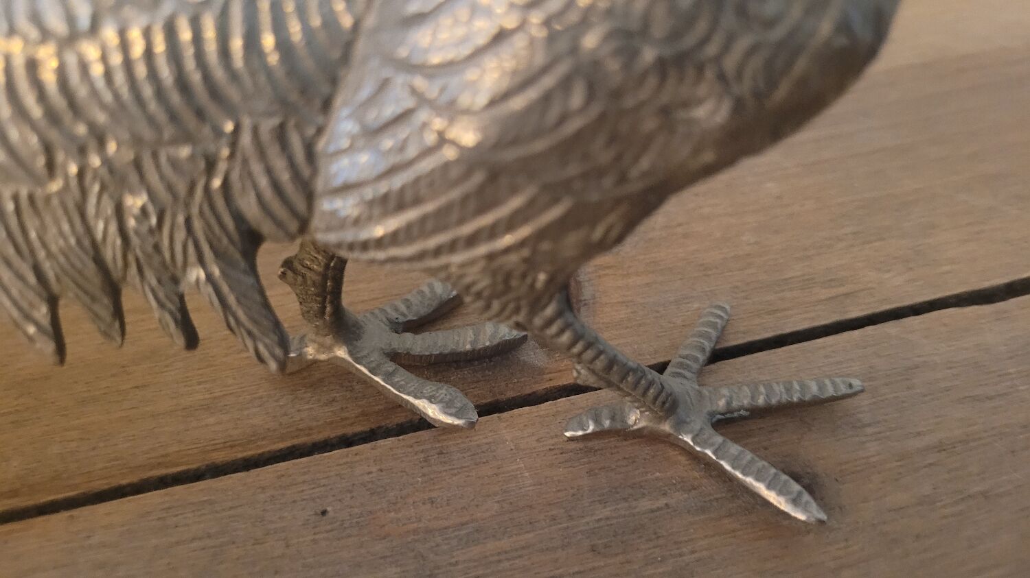 Couple of pheasant roosters