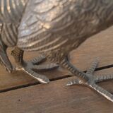 Couple of pheasant roosters