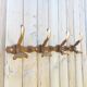 Antique wooden coat rack