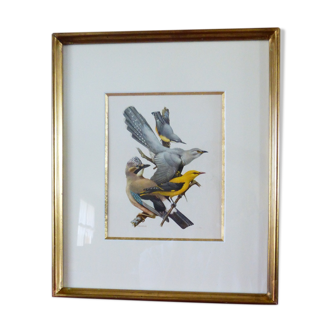 Oiseaux collection Hepatior N°13