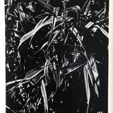 Rosine NUSIMOVICI, Untitled (Poacea I), 1980. Black and white silver print