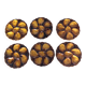 6 oyster plates
