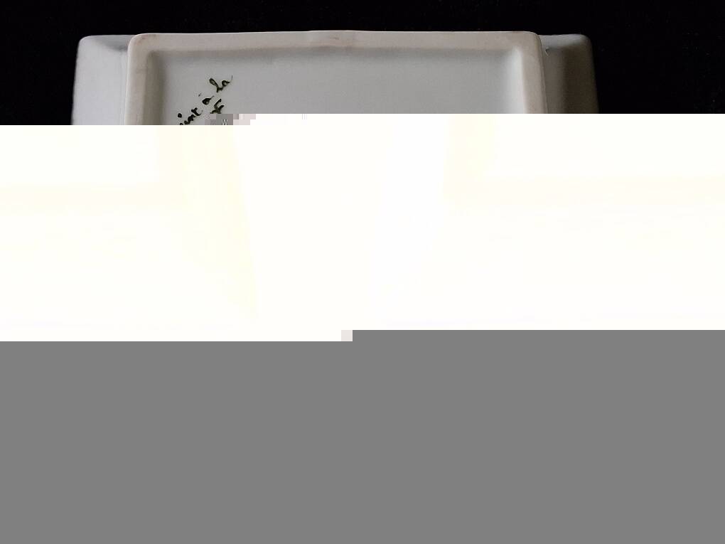 Sublime Pocket Bowl in Limoges Porcelain, Hand-Painted Iris & Gold Leaf