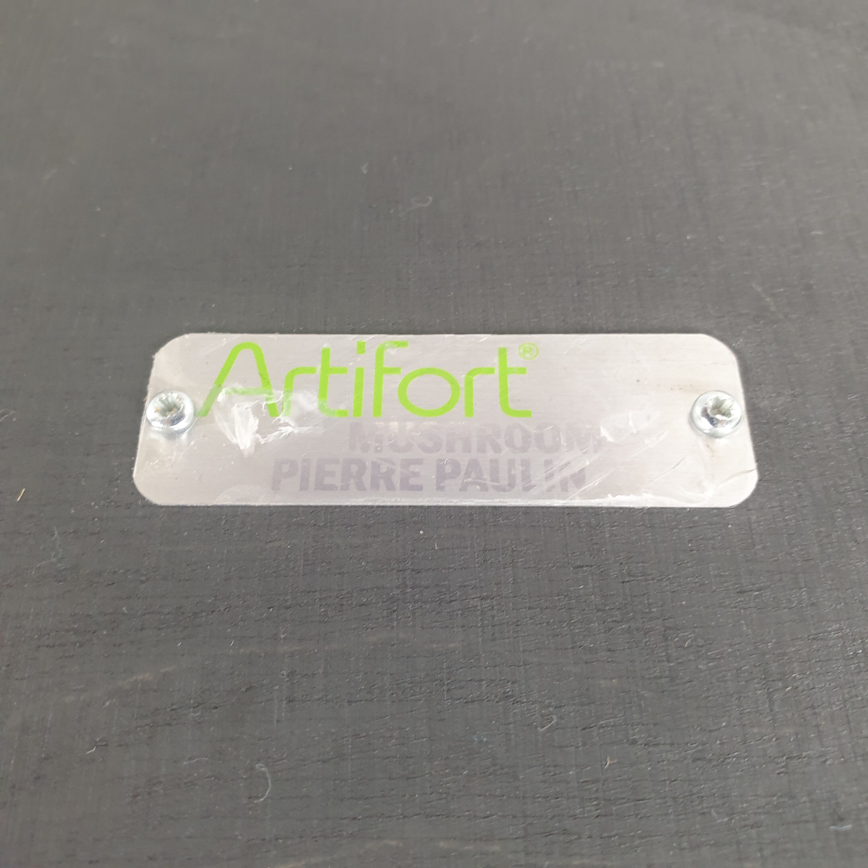 Set of 2 Mushroom armchairs by Pierre Paulin for Artifort