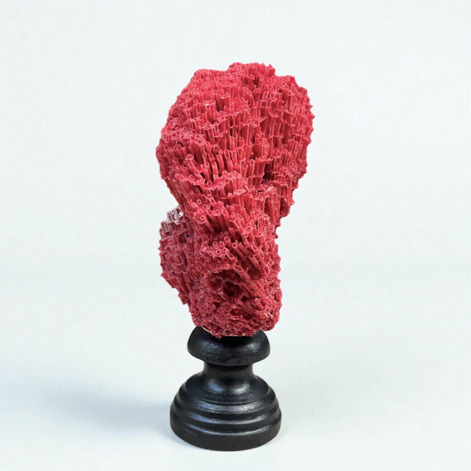 Antique red coral organ Tubipora musica on a wooden base, late 19th century