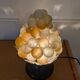 Grape cluster lamp