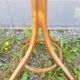 Coat holder Baumann
