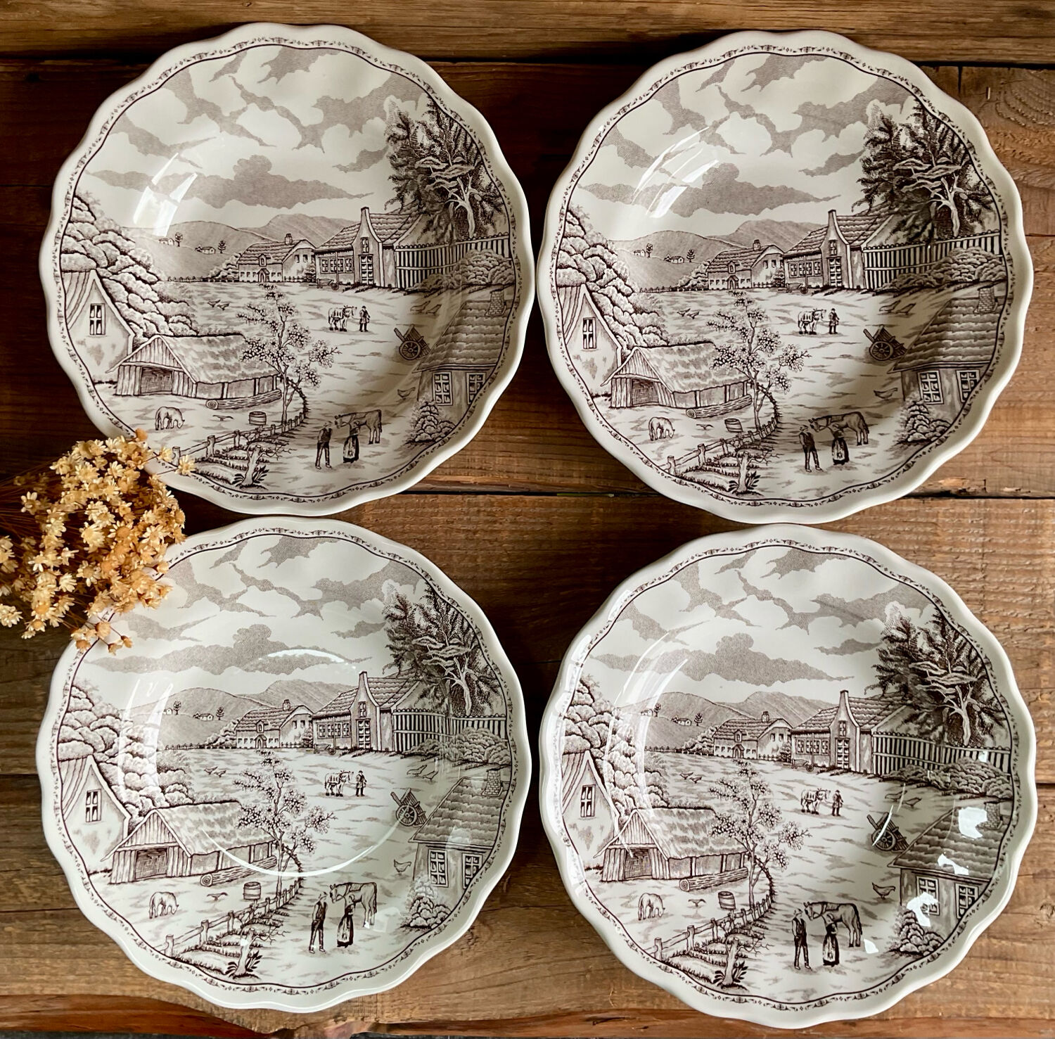 4 deep plates N Fontabesso Italy