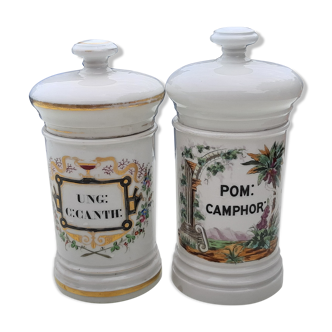 Pair of porcelain pharmacy pots