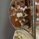 Venetian Murano Glass Mirror, Italy – Early 20th Century