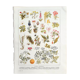 Ancient botanical board 20s Poisonous