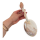 1920 French Antique Mother of Pearl and Shell Large Spoon
