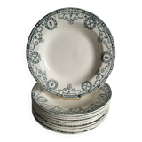 11 Deep Plates Ironstone Salins Cambacérès Decor