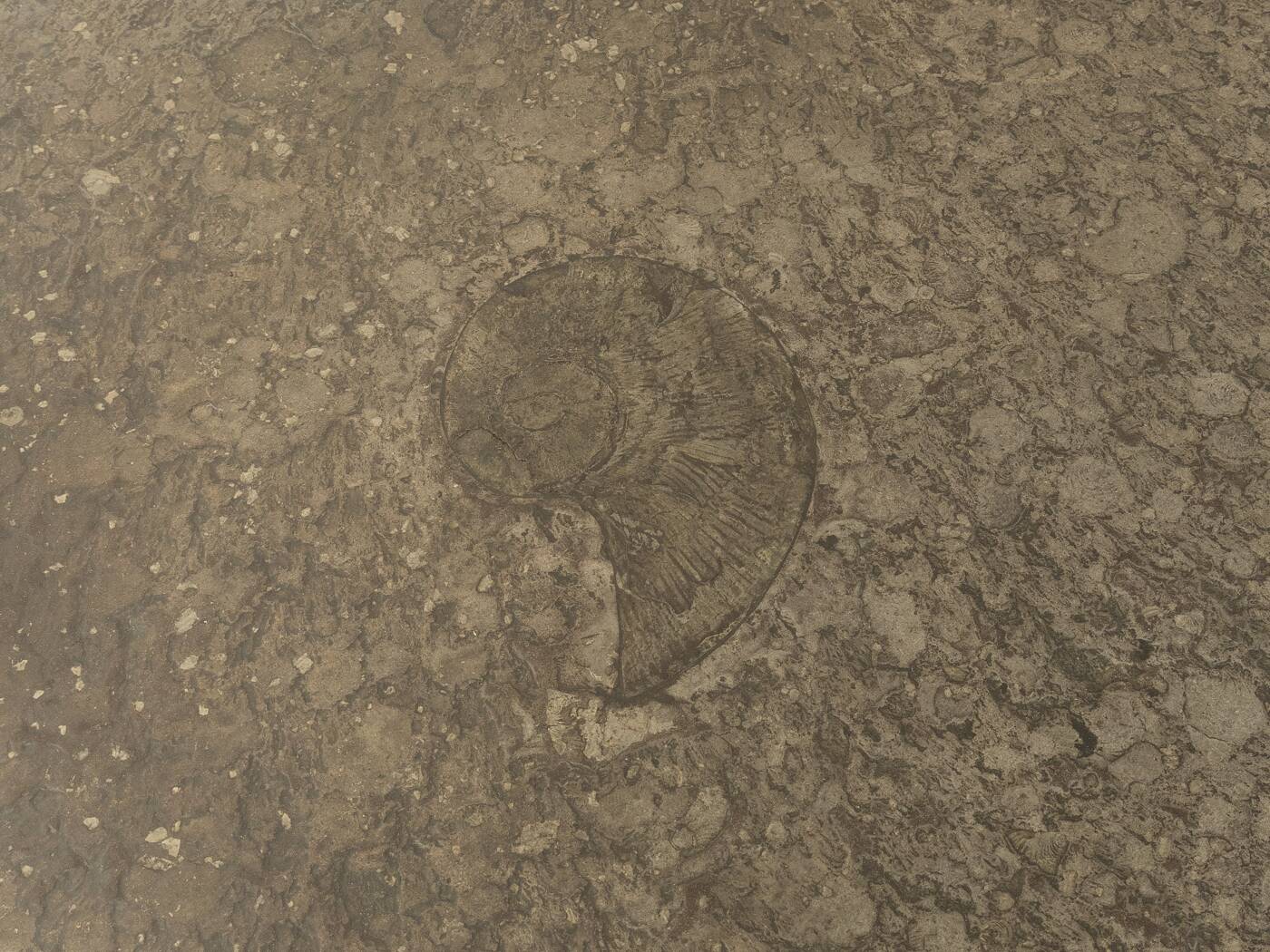 1970s brutalist coffee table by Peter Draenert