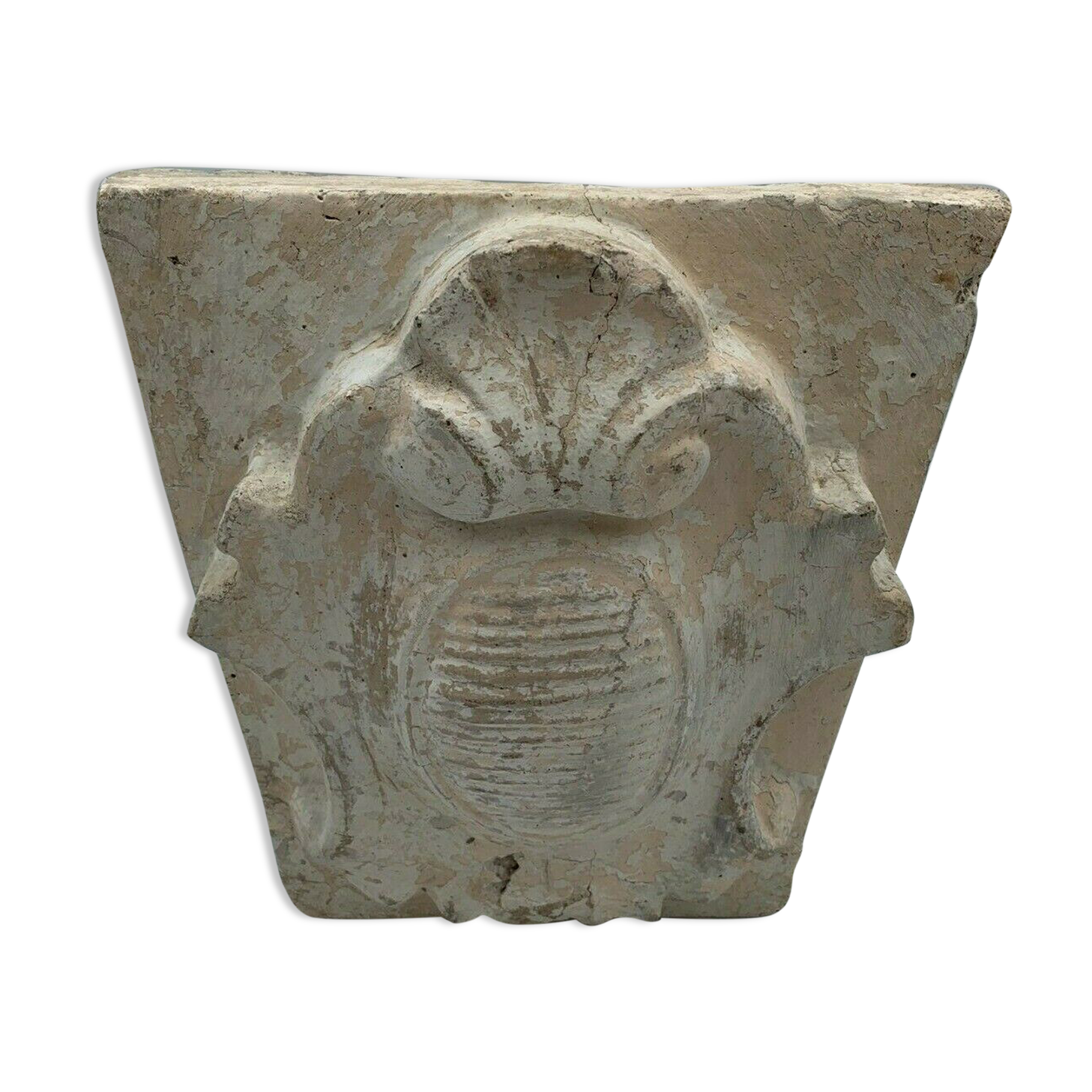 STONE SHELL 19TH PATINA OF ORIGIN SCULPTURE