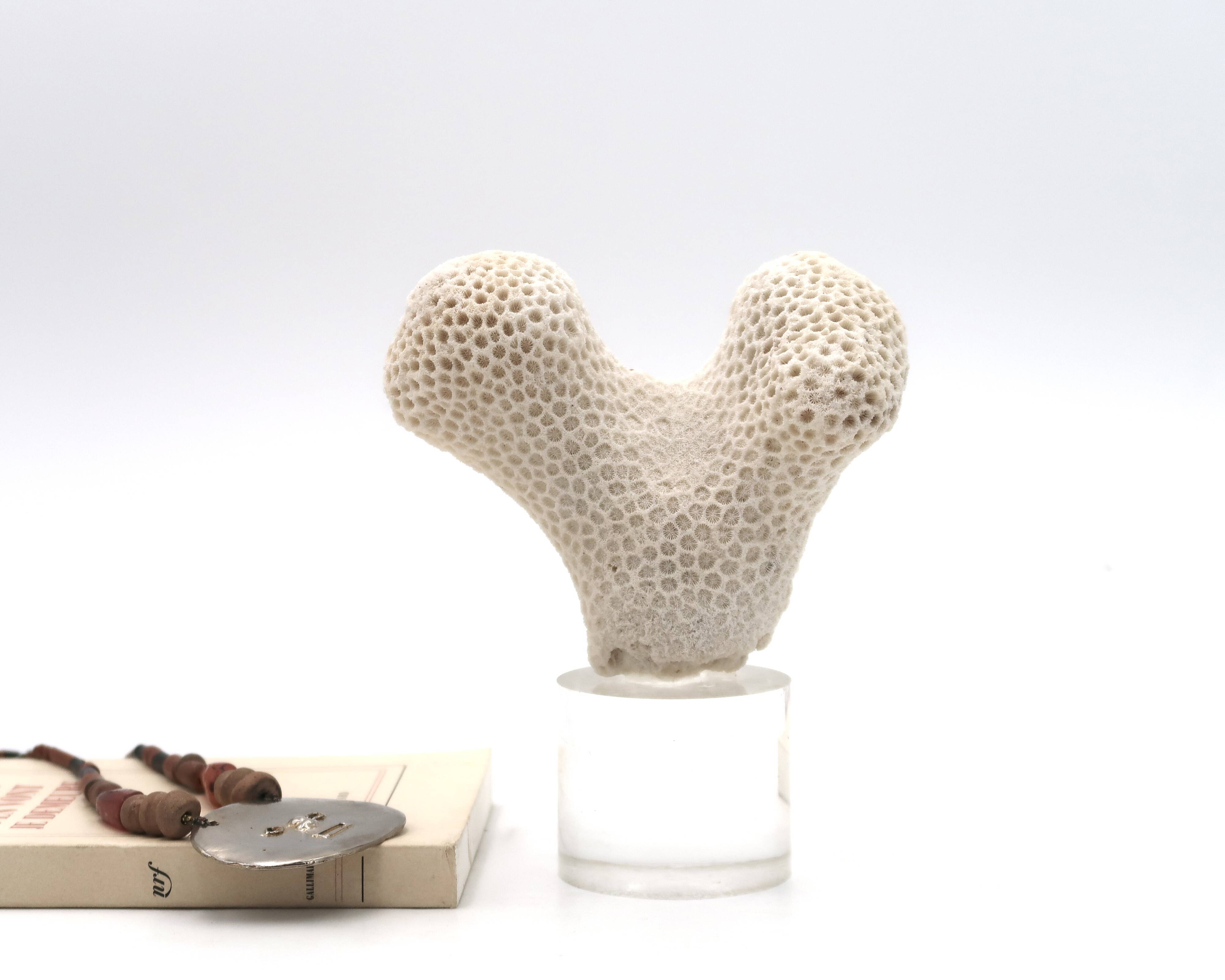 Coral bench on resin base, 1970s
