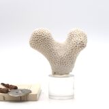 Coral bench on resin base, 1970s